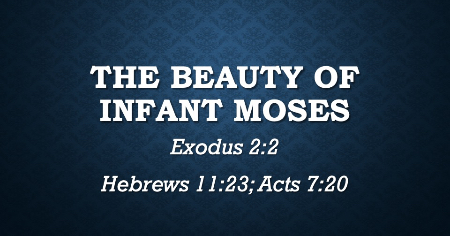 The Beauty of Infant Moses